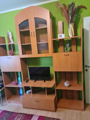 Garsoniera MAIA Slănic-Moldova